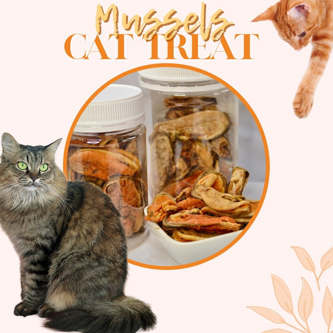 Dried Green Lip Mussel - Cat Treats